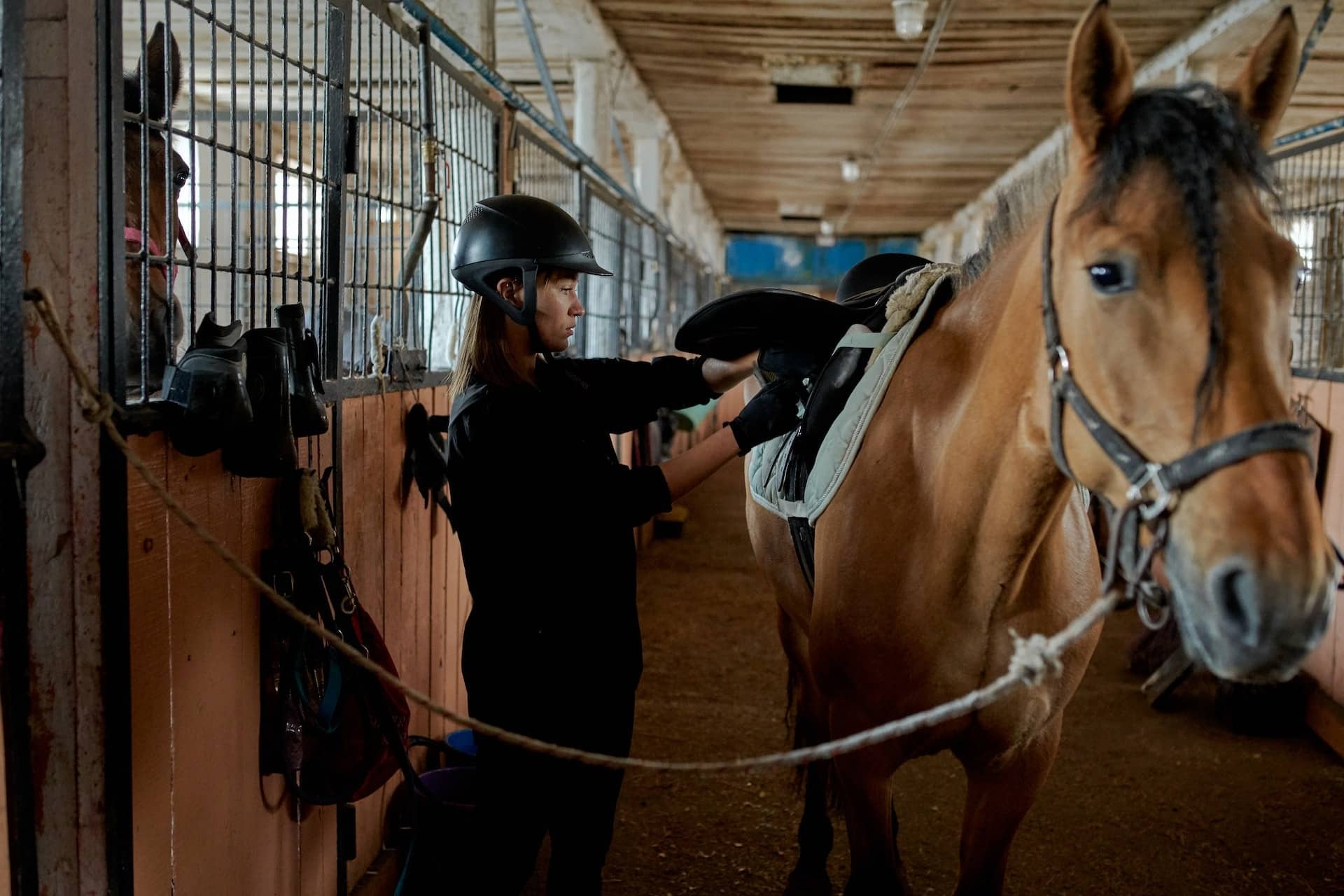 what-to-look-while-buying-saddle-pads-for-sale