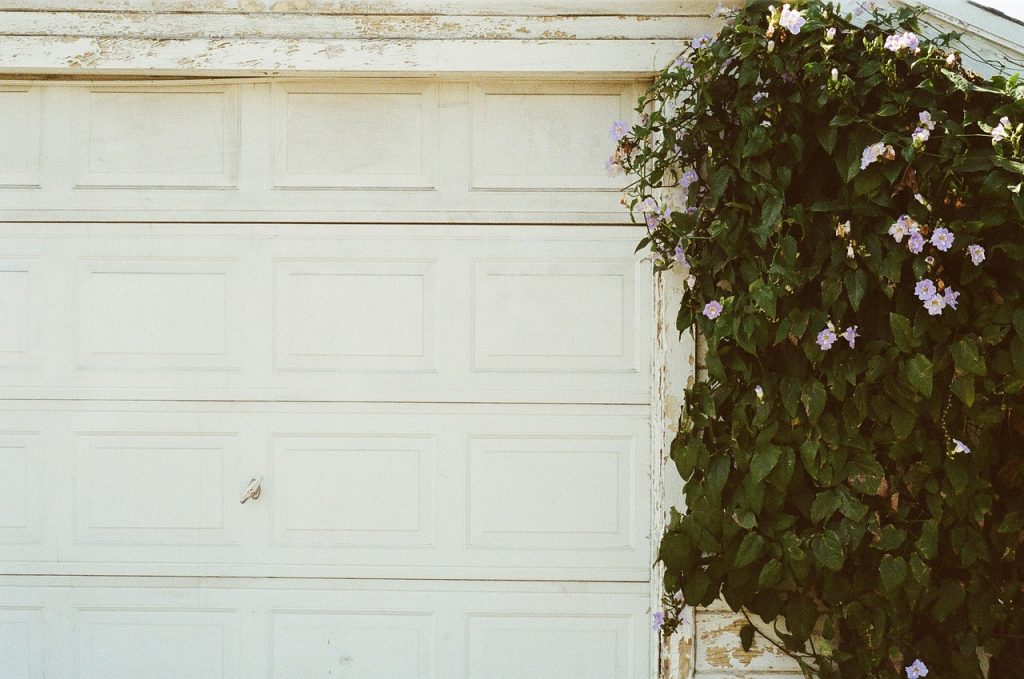 Paxebay - garage-door-white-plant-2629060/