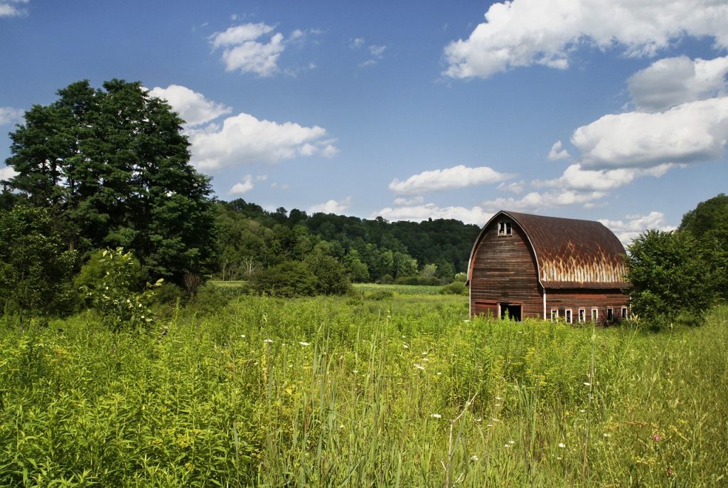 Pixaby - barn-field-agriculture-countryside-238512/